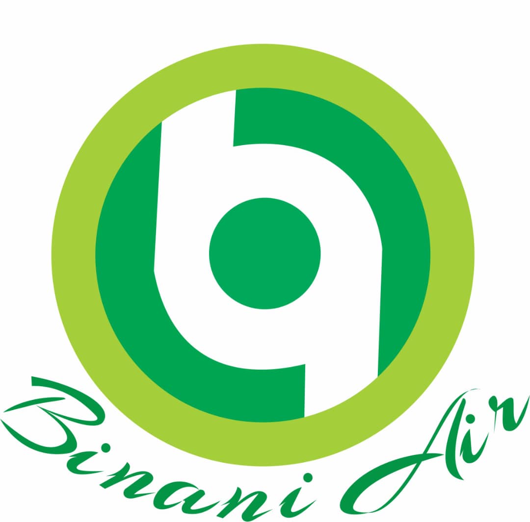 Binani Air Library Logo